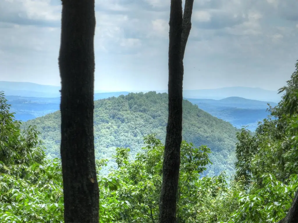 388 Walnut Ridge, Ellijay, GA 30536 - #1