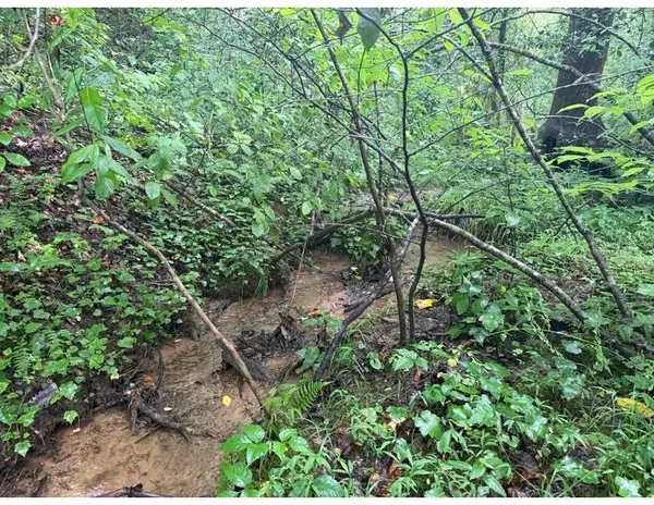 4.1 Ac Charlotte Mountain Road, Ellijay, GA 30540