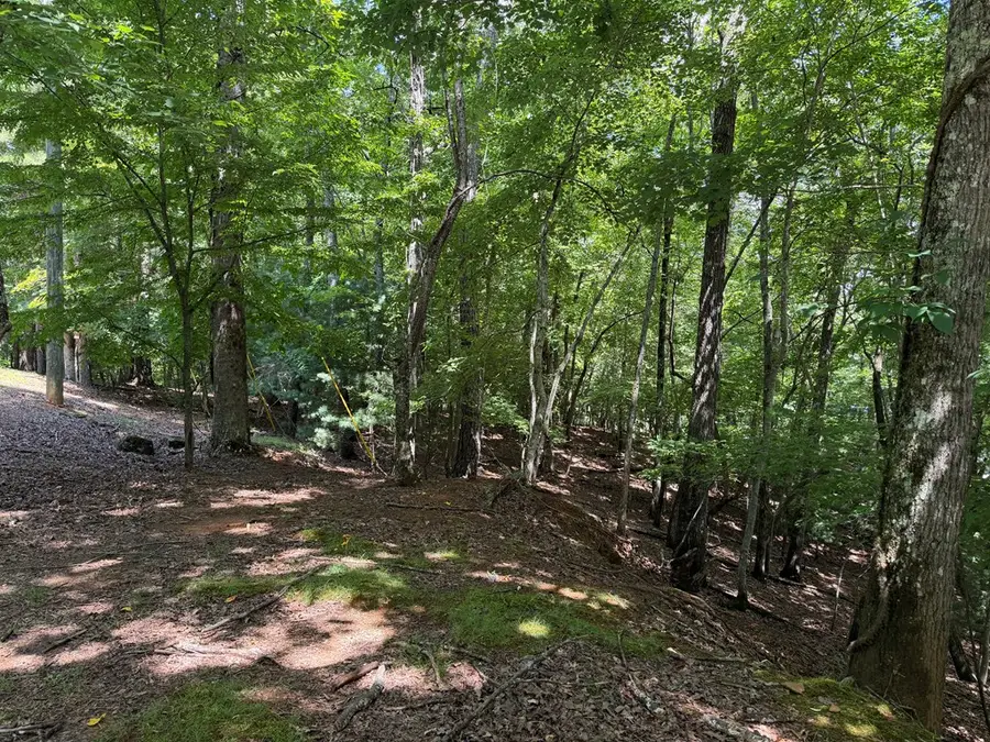 3545 Newport Drive, Ellijay, GA 30540 - #3