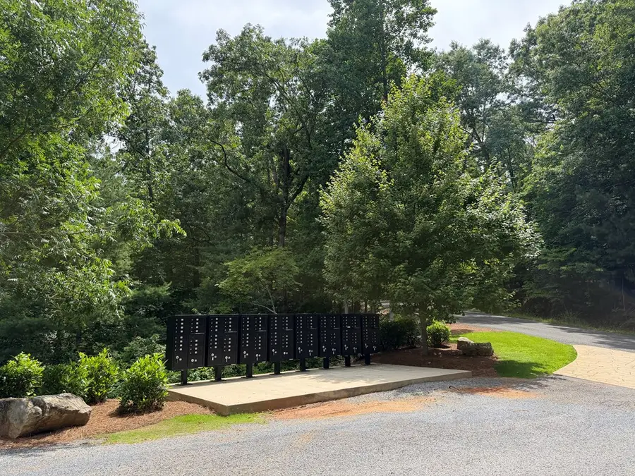 Lot 20 Lake Top Lane, Ellijay, GA 30540 - #3