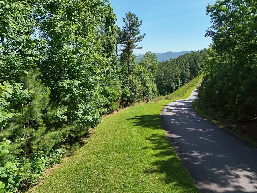 Lot 72 Thirteen Hundred, Blairsville, GA 30512 - #3