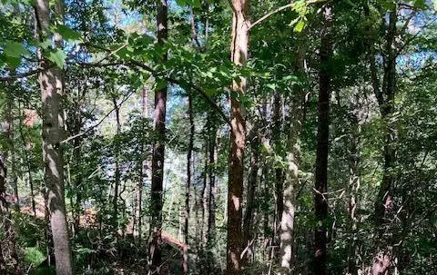 Lot 140 Red Oak Trail, Ellijay, GA 30540