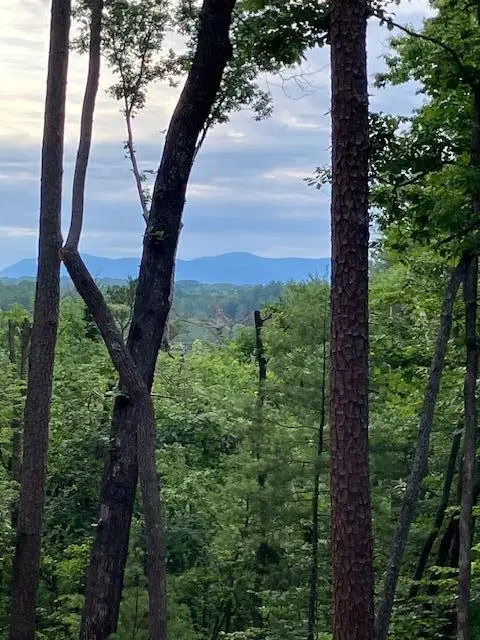 Lot 132 Red Oak Trail, Ellijay, GA 30540