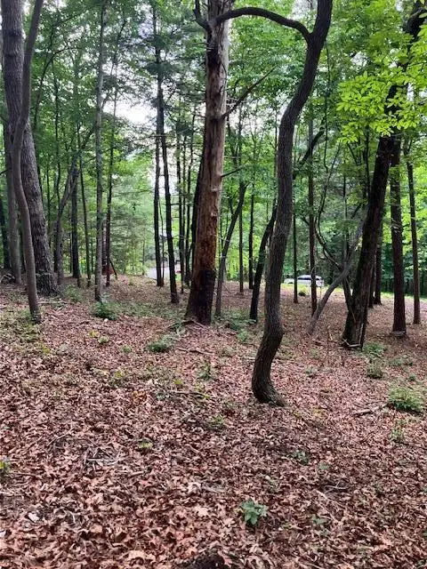 Lot 132 Red Oak Trail, Ellijay, GA 30540 - #2