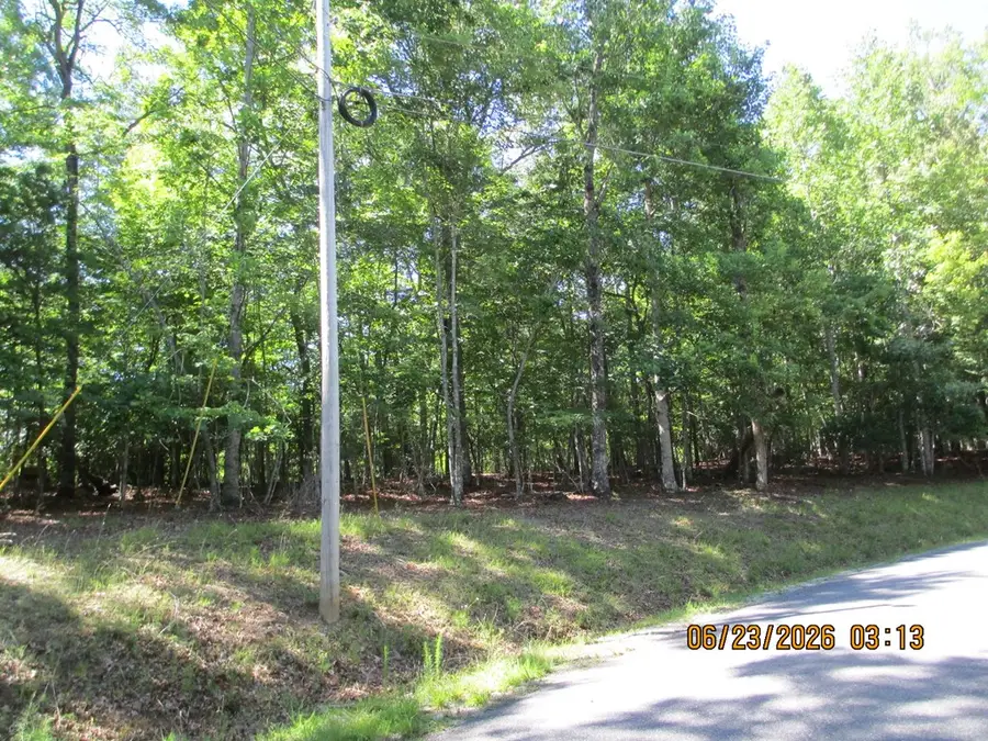 Lot 8 S Quail Cove Circle, Warne, NC 28909 - #2