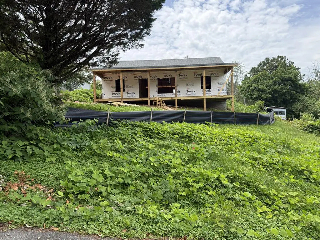 0 Creme Street, Copperhill, TN 37317 - #1