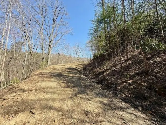 Lot 3 Wild Laurel, Brasstown, NC 28902 - #1