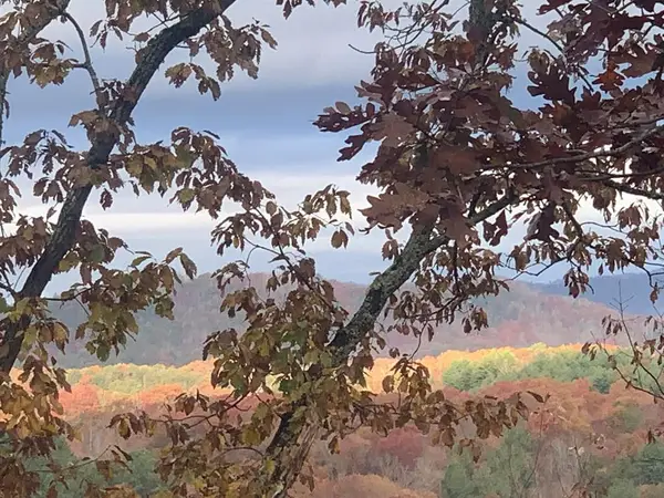 Lot 24 Grand Laurel, Brasstown, NC 28902