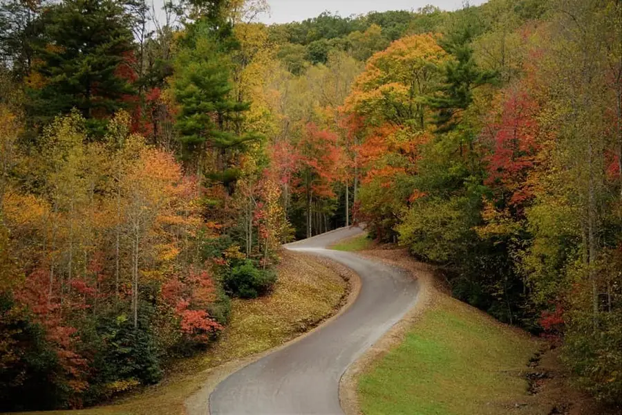 Lot 24 Grand Laurel, Brasstown, NC 28902 - #3