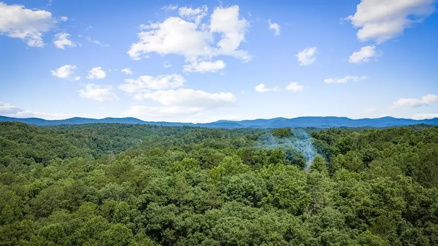 290 Graham Court, Ellijay, GA 30540 - #2