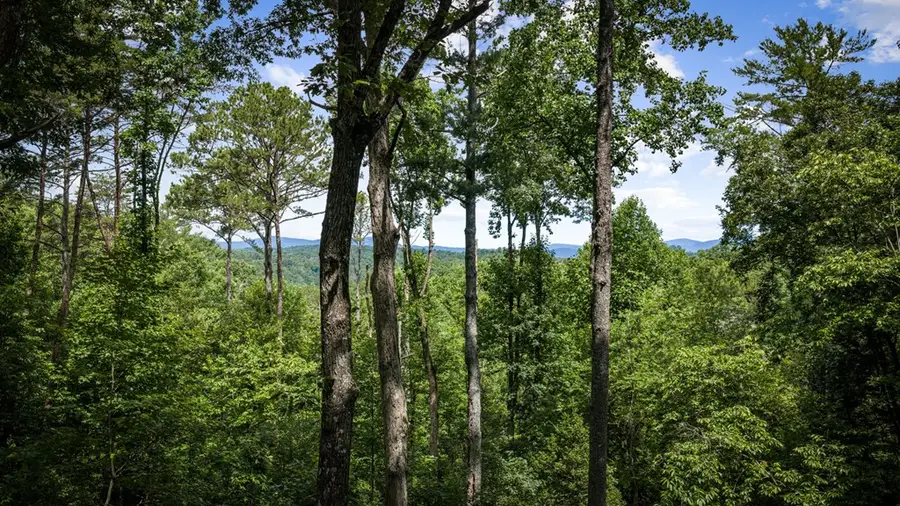 290 Graham Court, Ellijay, GA 30540 - #3
