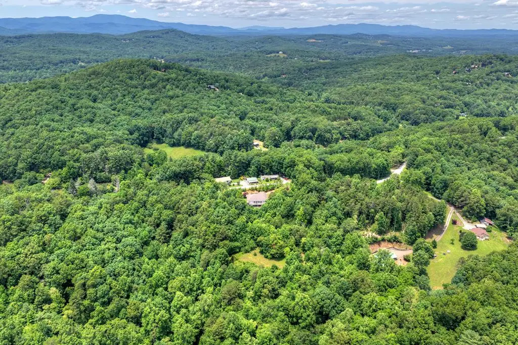 26.29 AC Bullen Gap Road, Blue Ridge, GA 30513 - #1