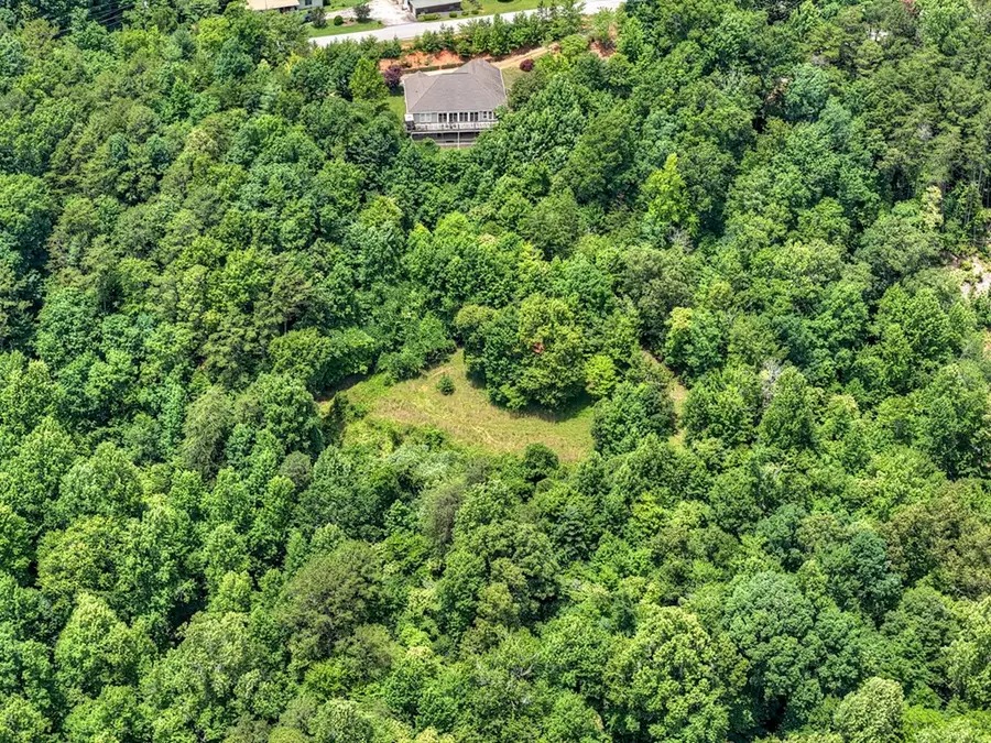 26.29 AC Bullen Gap Road, Blue Ridge, GA 30513 - #3