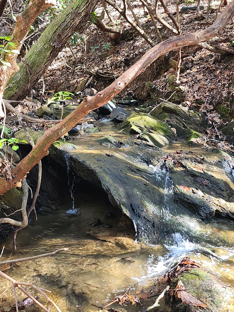 5 acres Liberty Hill Road, Morganton, GA 30560 - #2