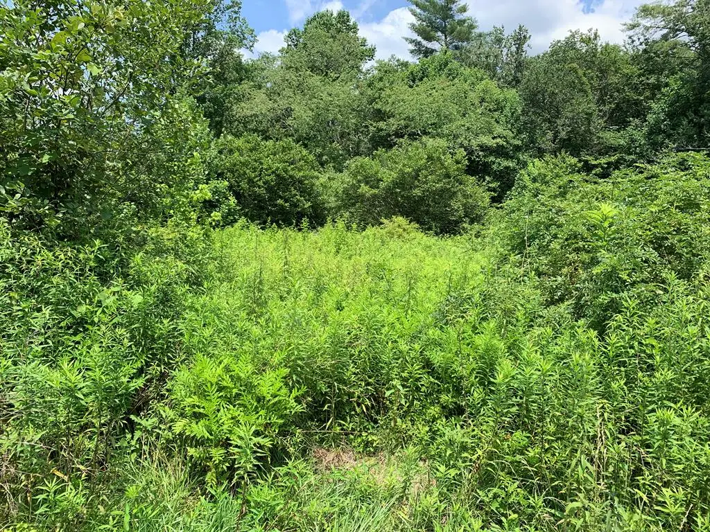 TBD Greasy Creek Road, Murphy, NC 28906 - #1