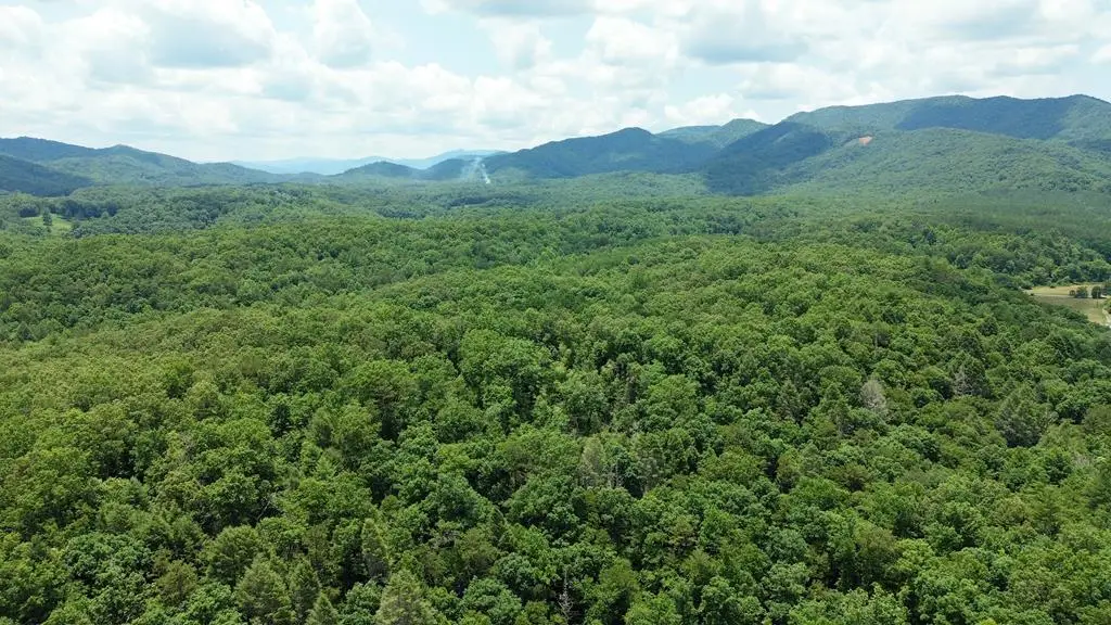 155 Acre Hemlock Ridge Subd, Turtletown, TN 37391 - #1
