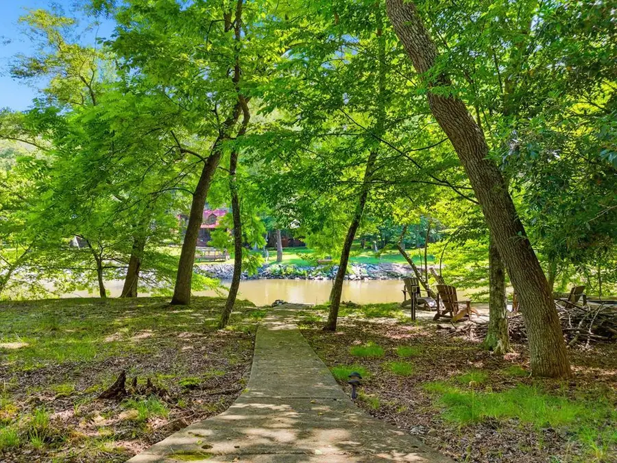 L2696 Palisade Drive, Ellijay, GA 30540 - #2