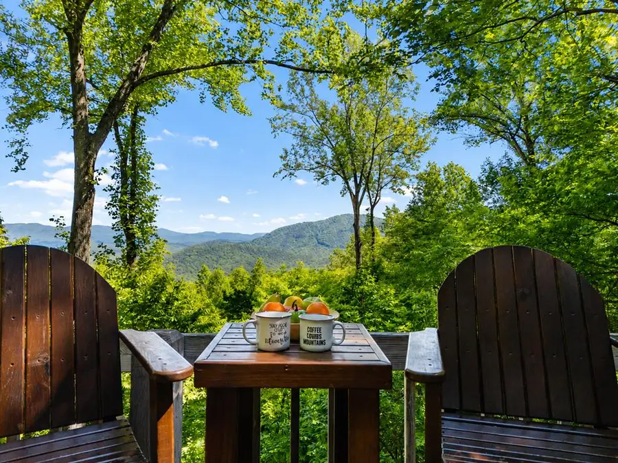 161 Walnut Ridge, Ellijay, GA 30536 - #3