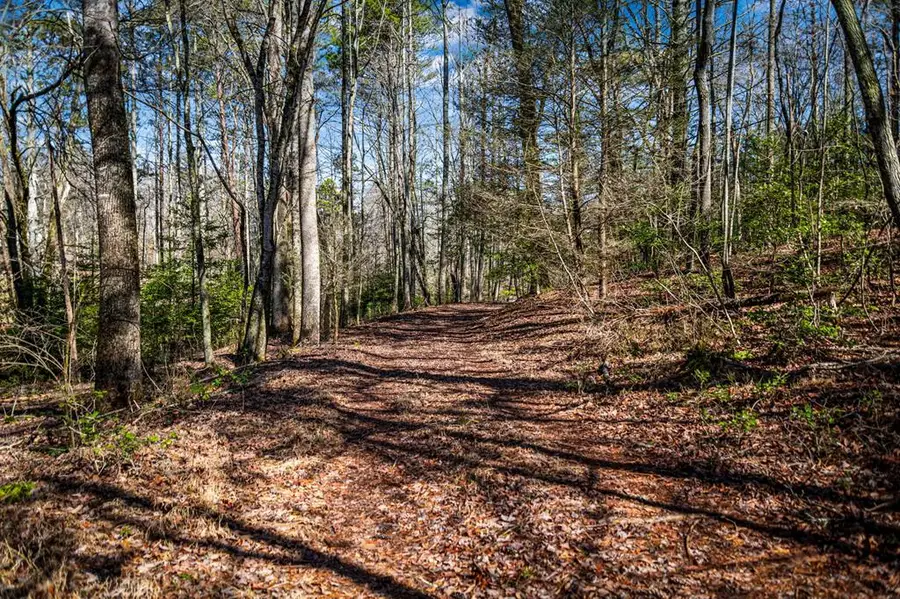 Tract B Captains Cove, Blairsville, GA 30512 - #3