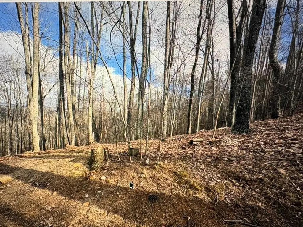 LOT 7C Timber Bend, Blairsville, GA 30512 - #1