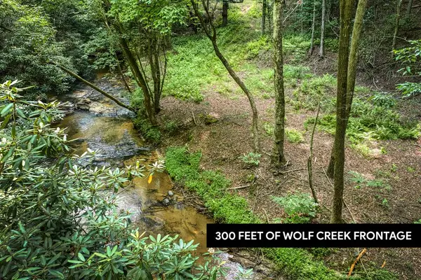 00 Mill Race Drive, Mineral Bluff, GA 30559