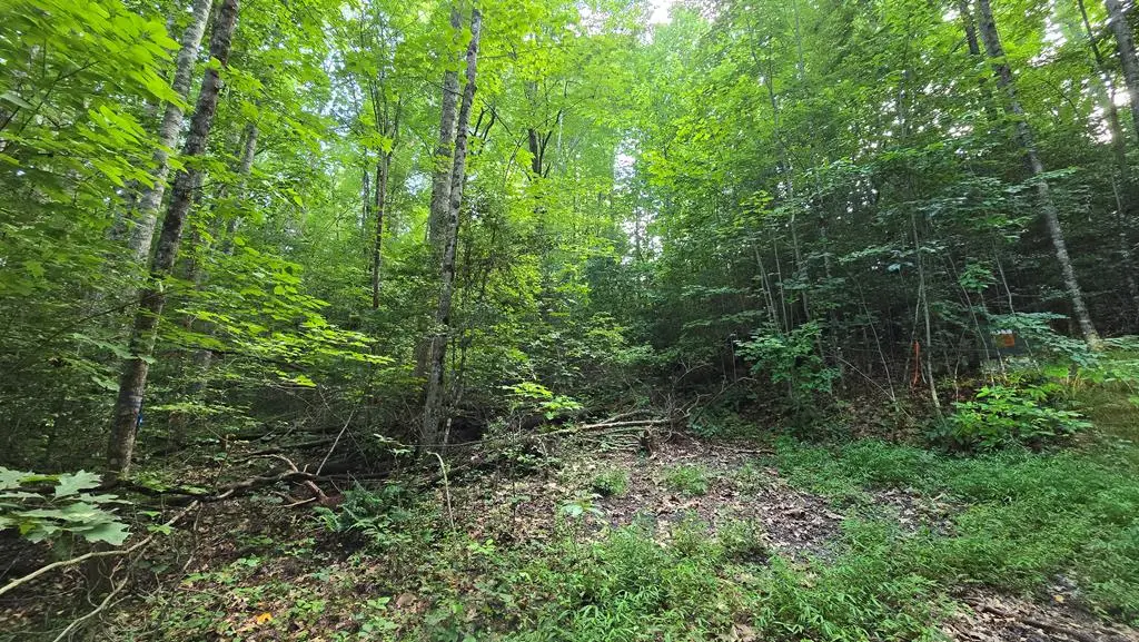 Lot 14 Kilpatrick Point Terrace, Hayesville, NC 28904 - #1