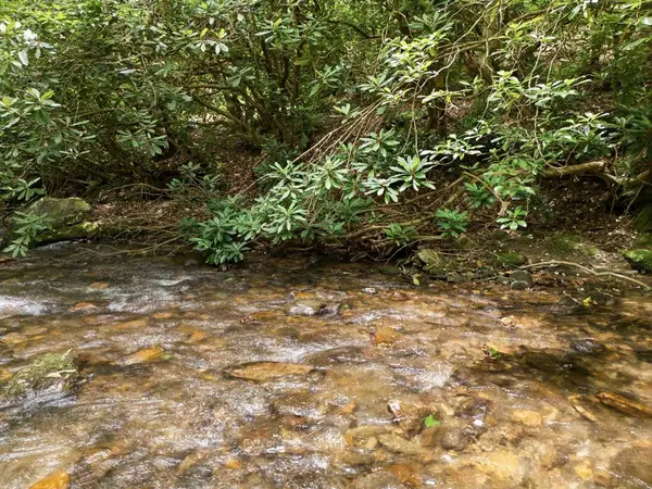 84 Pounding Mill Creek, Hayesville, NC 28904
