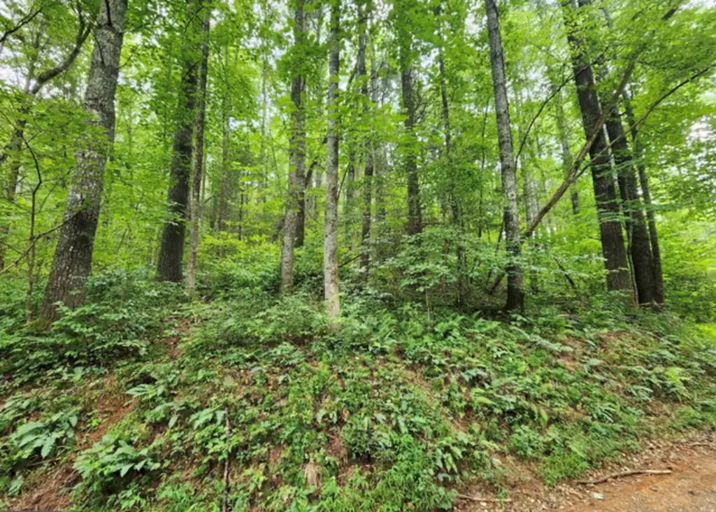 2A Poplar Cove, Suches, GA 30572 - #1