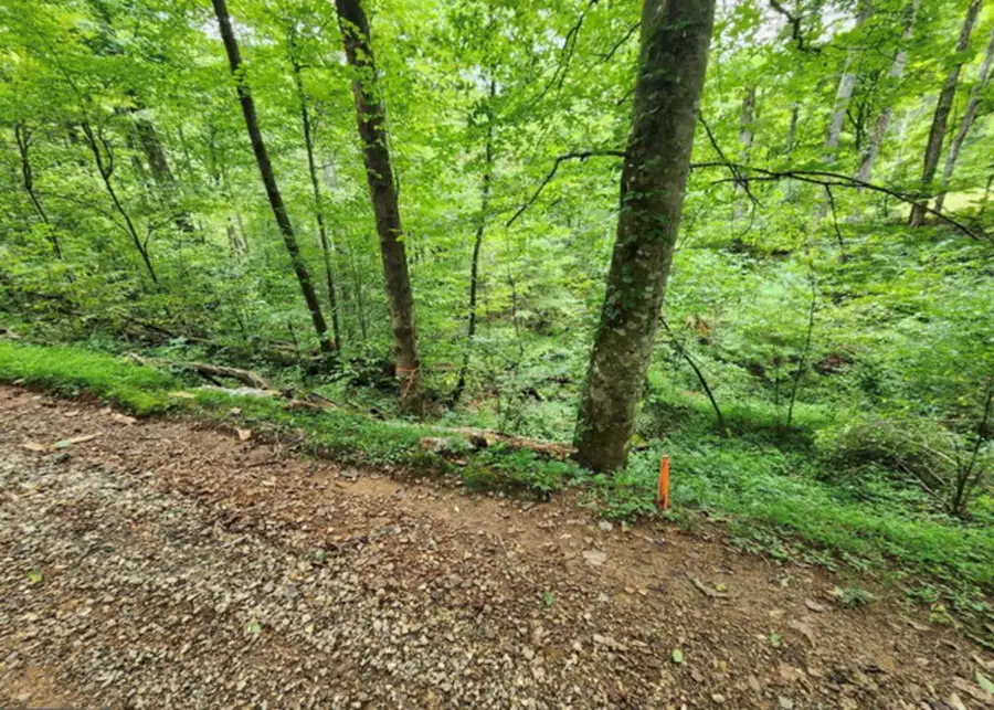 2A Poplar Cove, Suches, GA 30572 - #2