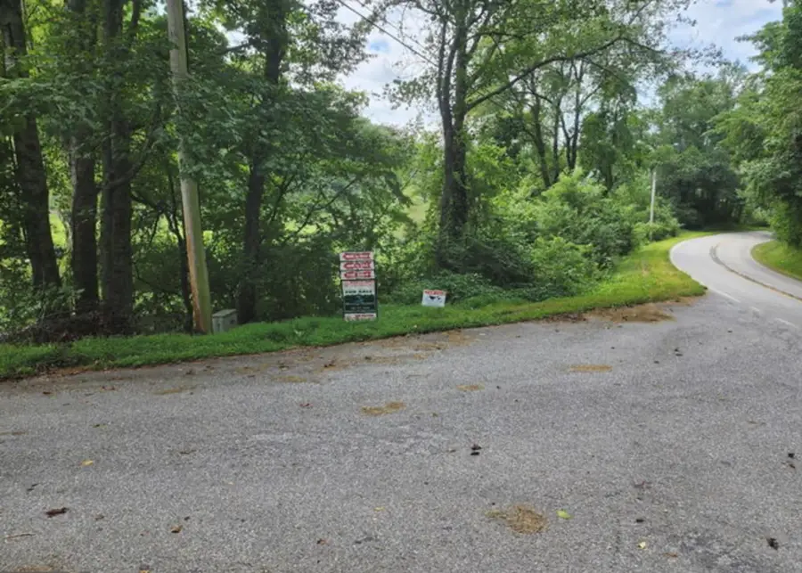 2A Poplar Cove, Suches, GA 30572 - #3