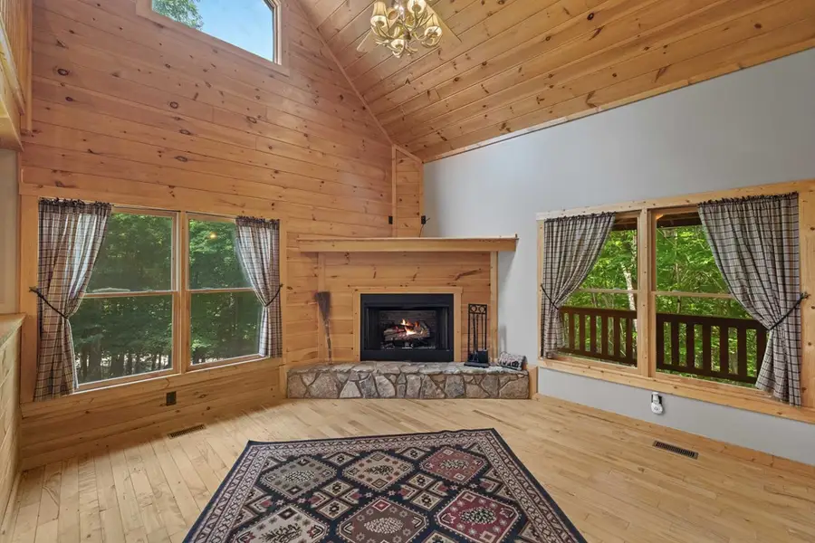 120 Pasha Drive, Ellijay, GA 30540 - #3