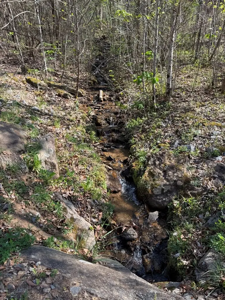 Lot 16-N High Meadows Drive, Hayesville, NC 28904 - #2