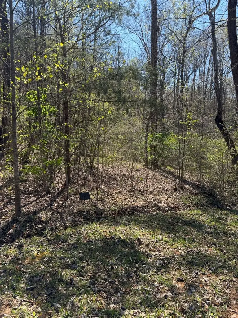 Lot 16-N High Meadows Drive, Hayesville, NC 28904 - #3