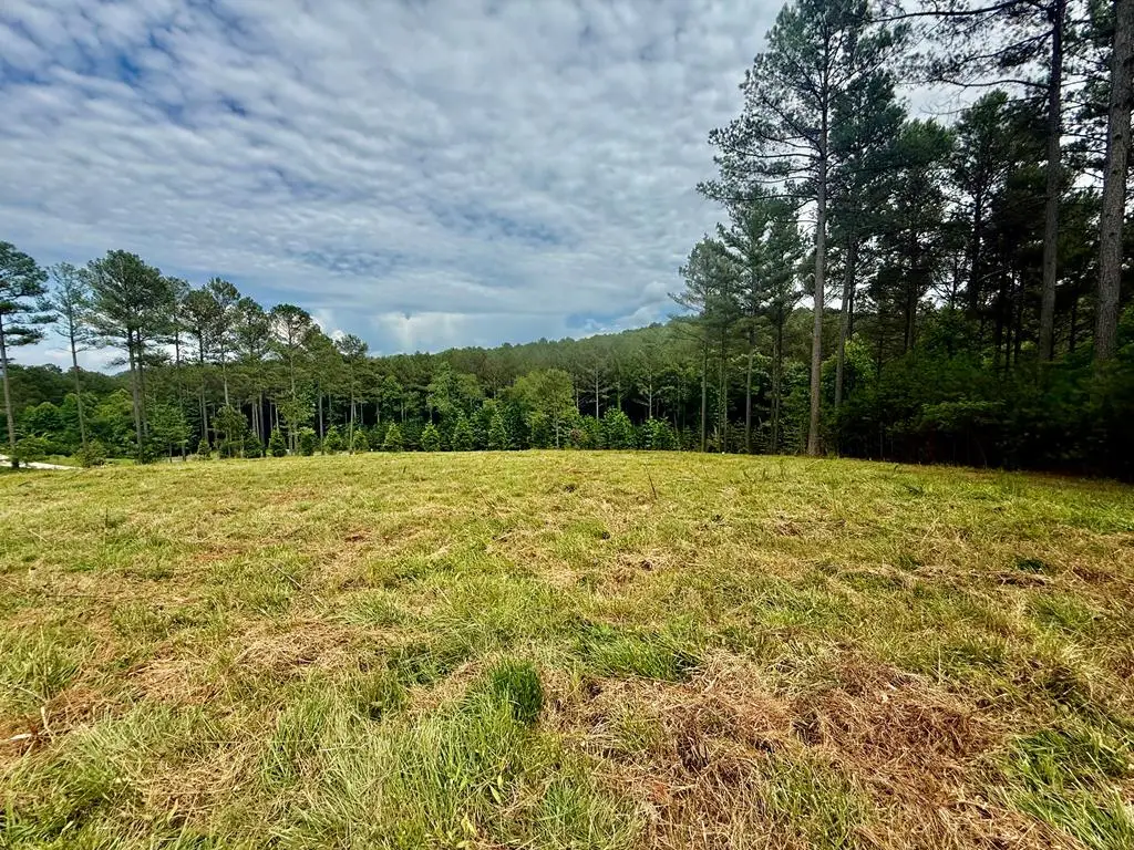 0 Stables Loop, Blairsville, GA 30512 - #1