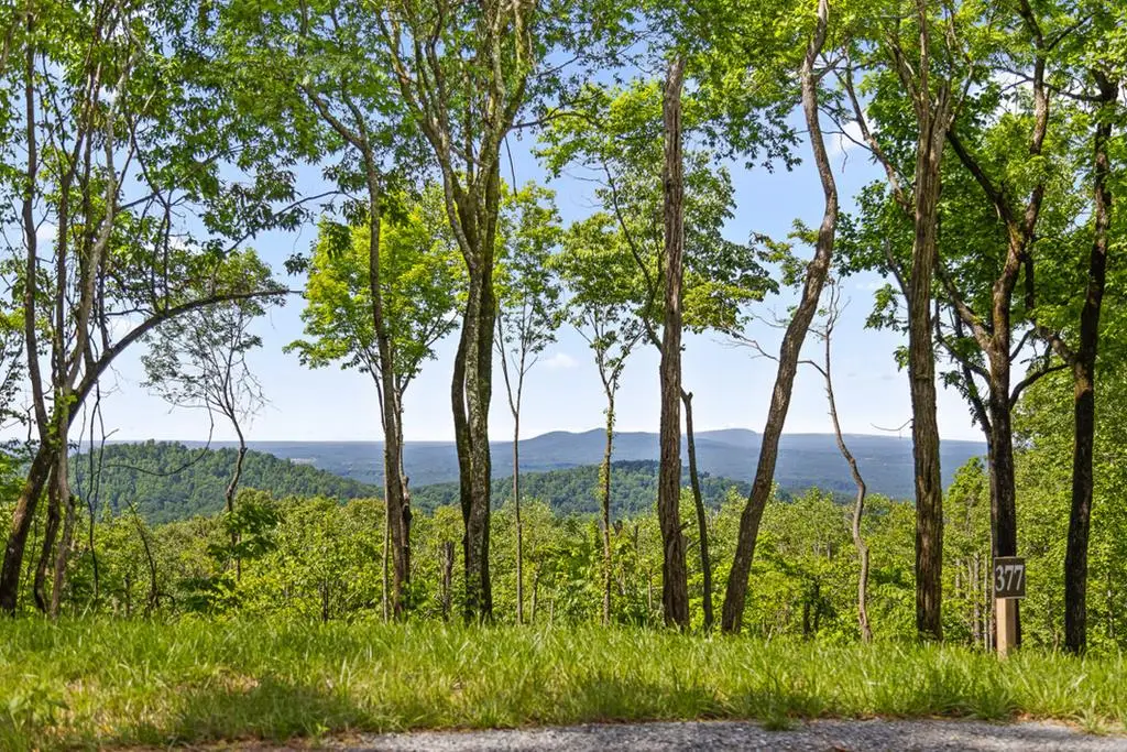 Lot 377 Calloway Mountain Road, Talking Rock, GA 30175 - #1