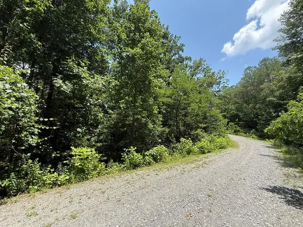 Lot E9 Reece Mountain Road, Ellijay, GA 30536