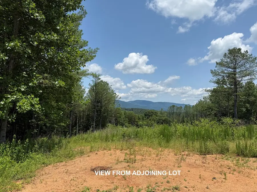 Lot E9 Reece Mountain Road, Ellijay, GA 30536 - #2