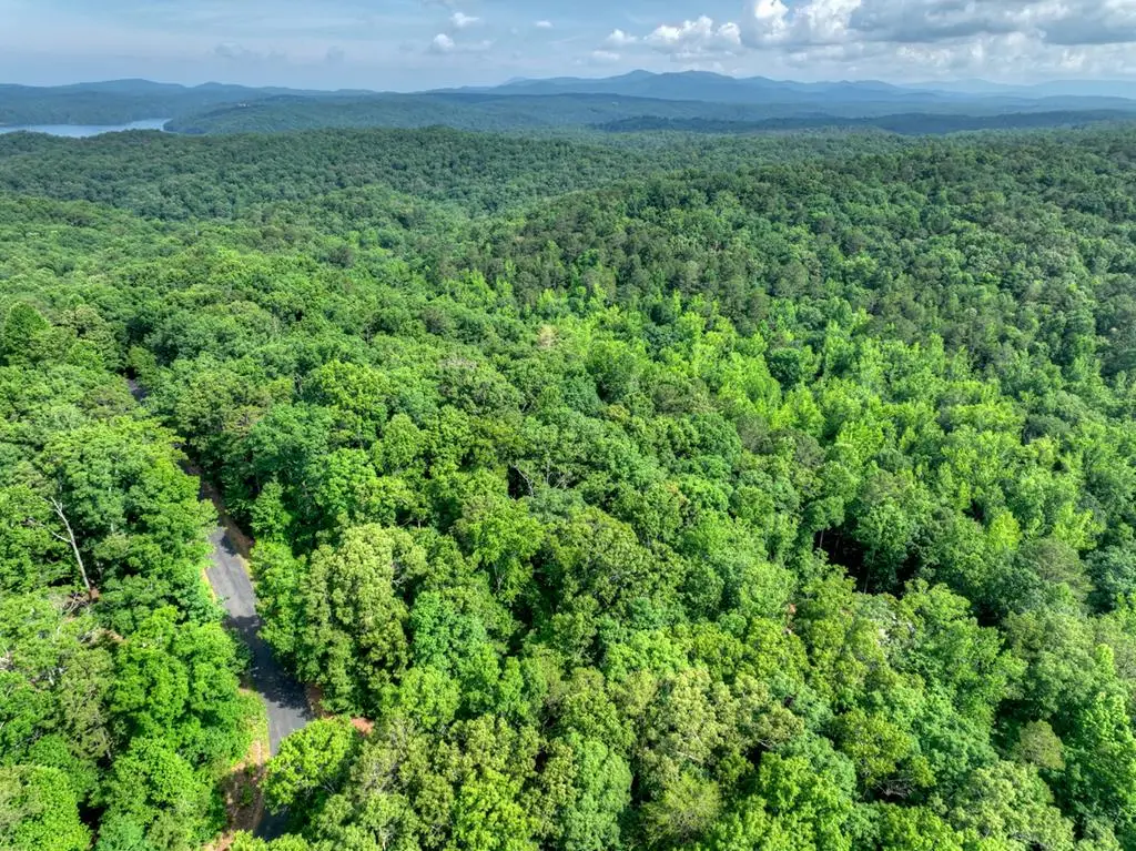 Lt 61 North Harris Creek Dr, Ellijay, GA 30540 - #1