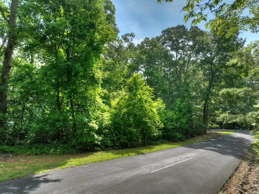 Lt 61 North Harris Creek Dr, Ellijay, GA 30540 - #2