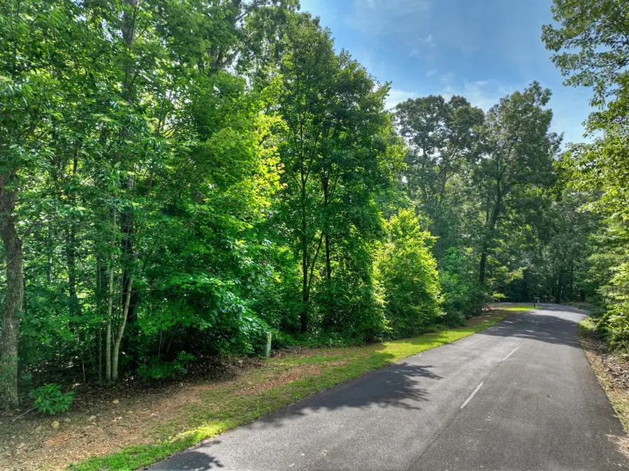 Lt 61 North Harris Creek Dr, Ellijay, GA 30540 - #3