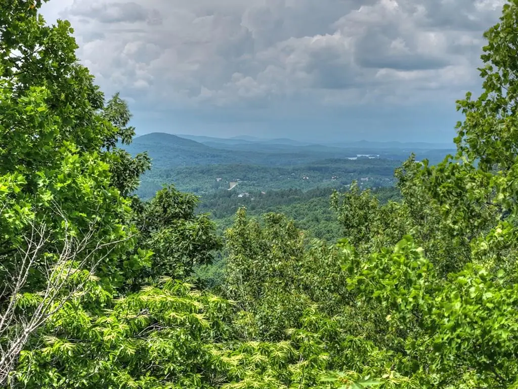 Lot 94 Thirteen Hundred S/d, Blairsville, GA 30512 - #1