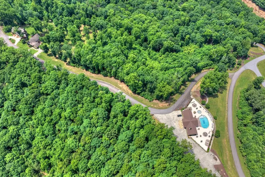 Lot 94 Thirteen Hundred S/d, Blairsville, GA 30512 - #2