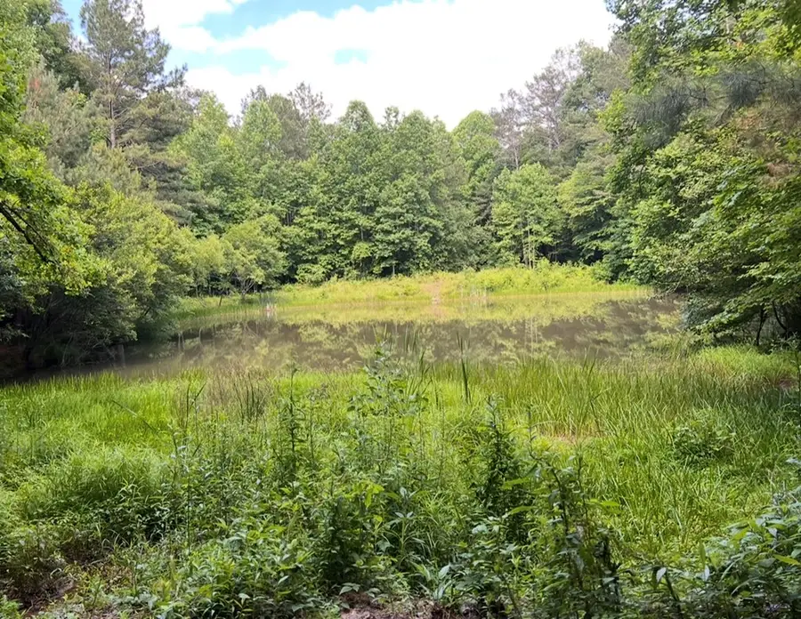 Address Withheld By Seller, Ellijay, GA 30540 - #2