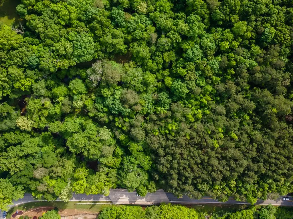 4.5 AC Hickory Flat Highway, Woodstock, GA 30188 - #1