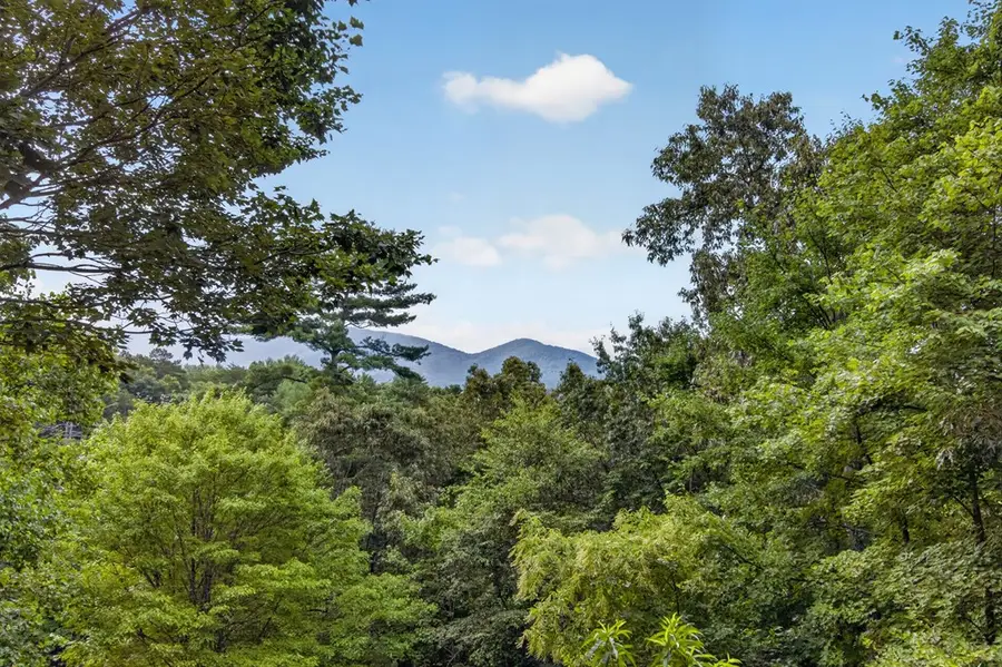 293 Weoka Court, Ellijay, GA 30540 - #2