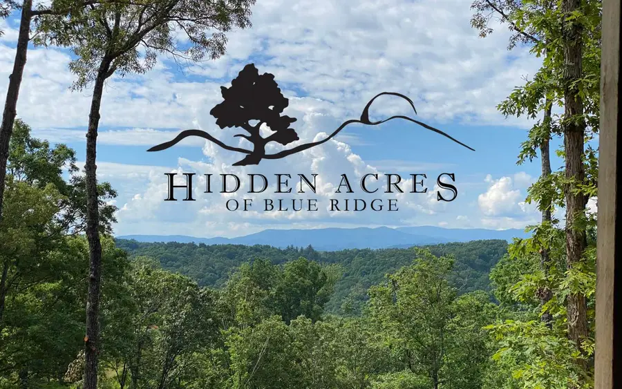 Lt27,28B Haven Way, Blue Ridge, GA 30513 - #2