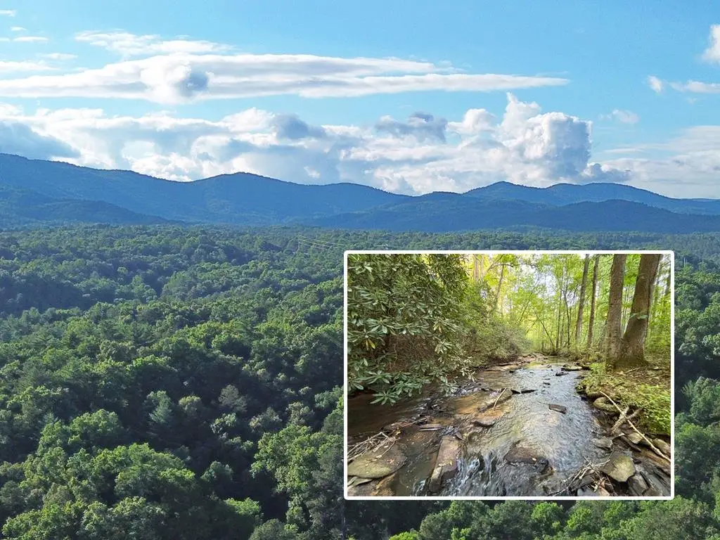 Lot 18 Mt. Springer Road, Ellijay, GA 30540 - #1