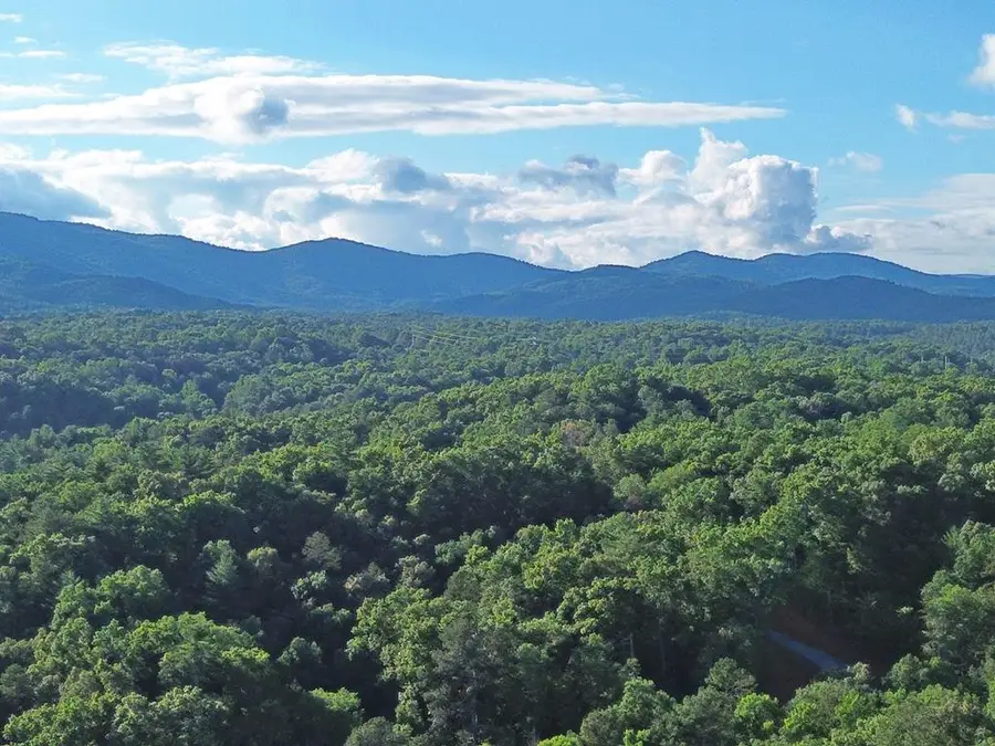 Lot 18 Mt. Springer Road, Ellijay, GA 30540 - #2