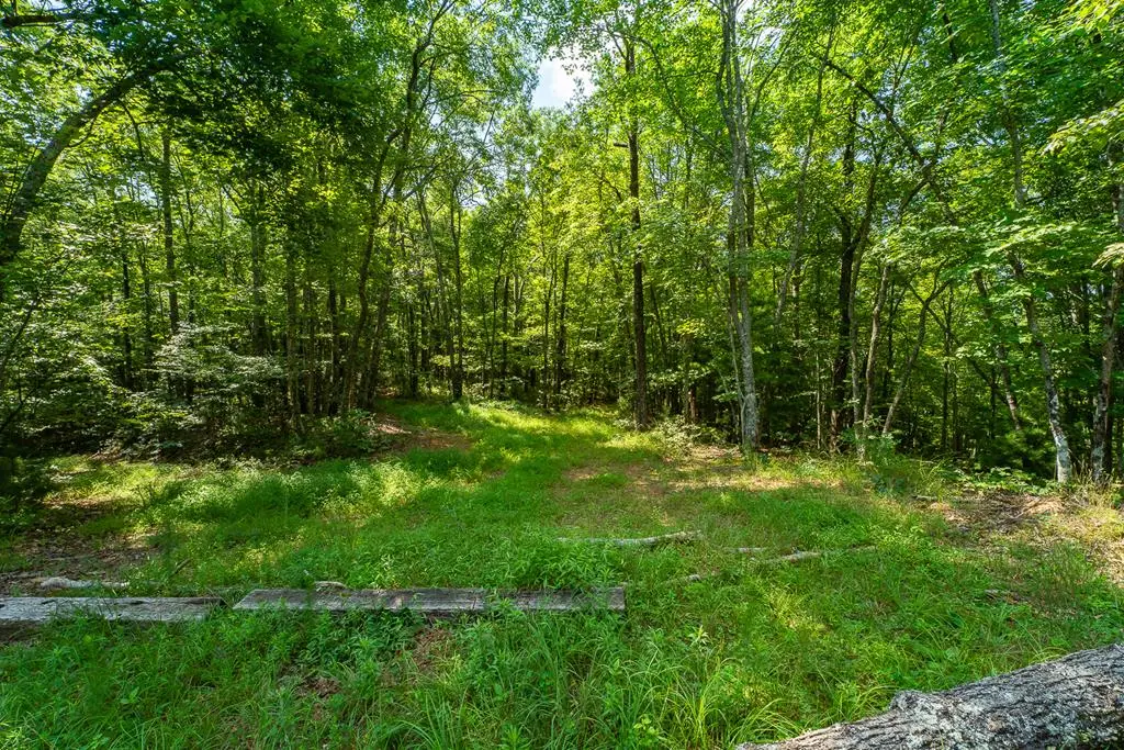 1 and 2 Blue Arrow Lane, Mineral Bluff, GA 30559 - #1