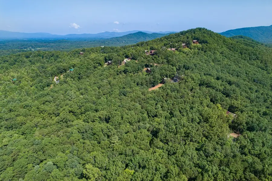 1 and 2 Blue Arrow Lane, Mineral Bluff, GA 30559 - #3